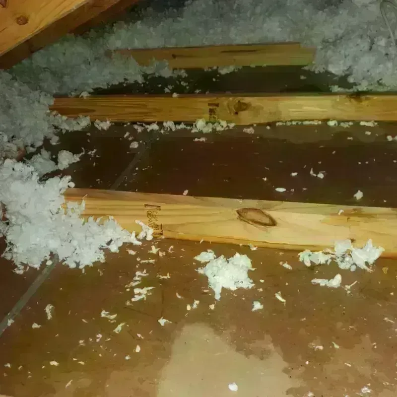 Attic Water Damage in Moss Point, MS