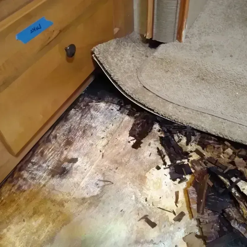 Wood Floor Water Damage in Moss Point, MS